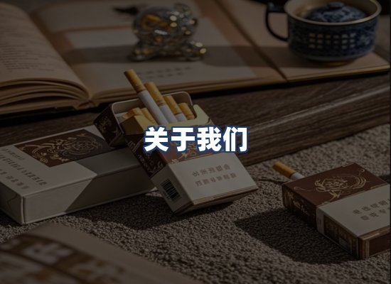 关于我们